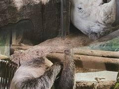 -杭州野生动物世界