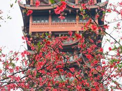 -塔子山公园