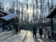 -横道河子东北虎林园