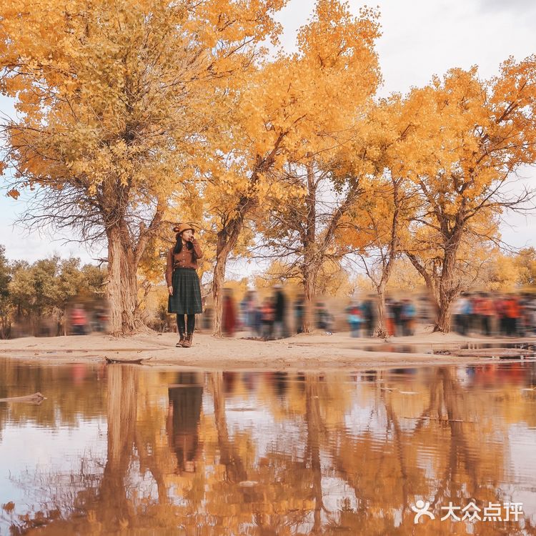 秋天必去的额济纳🍁每年国庆如期而至‼️