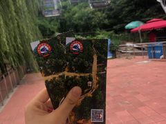 -富斯特索道