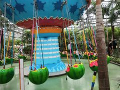 -南宫五洲植物乐园