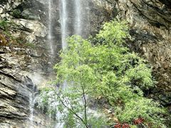 -少华山国家森林公园