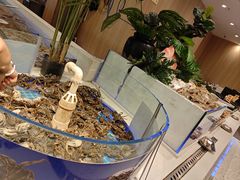 -藜爱·山海情海鲜自助(万达广场店)