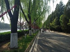 -东华门大街小区