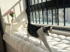 -大宅设计设计店铺(浦东店)