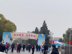-天津水上公园
