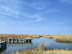 -宁波杭州湾国家湿地公园