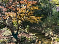 -中国茶叶博物馆(双峰馆区)