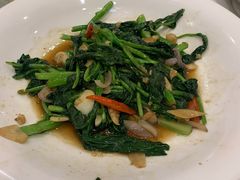 清炒芥兰苗-红高粱大酒店(宁山东路店)