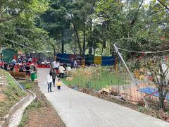 -大夫山顺驰自助烧烤场