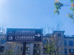 -苏州上方山国家森林公园