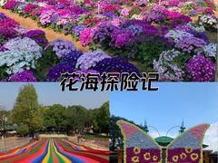 -松山湖梦幻百花洲