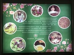 -茶油香闽南菜·花园餐厅(前埔店)