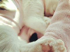 -美迦爱-牙专科·兔科·骨科诊疗中心(北苑店)