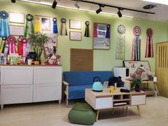 -猫十亿·布偶金渐层·曼基康矮脚猫舍(青年路店)