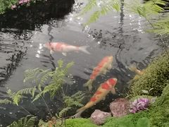 -罗红摄影艺术馆