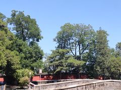 -大觉寺-停车场