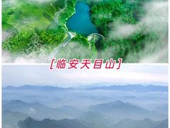 -杭州半山国家森林公园