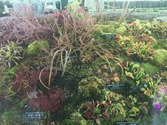 -国家植物园南园