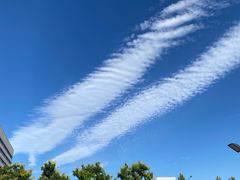 -首都医科大学附属北京天坛医院