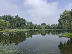 -东郊湿地公园
