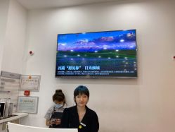 -YESIDO椰岛造型