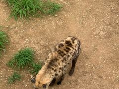 -宁波野生动物园