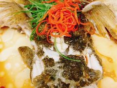 清蒸笋壳鱼-外滩1288花园丽舍