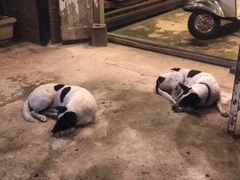 -席娜卡琳火车铁道夜市