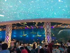 -瑞德姆美人鱼海底演艺主题餐厅(亚龙湾店)