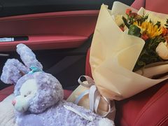 -天猫养车贴膜轻改·蓝电(优匹康桥东路店)