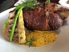 德国猪肘-原野牧场