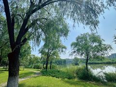 -延庆地质公园博物馆