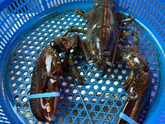 -渔民船说·北塘海鲜·天津菜·海肠捞饭(北塘古镇店)