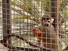 -西霞口神雕山野生动物世界