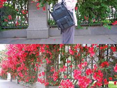 -四川大学(华西校区)