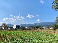 -塔川景区