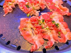 -杨记齐齐哈尔烤肉(总店)