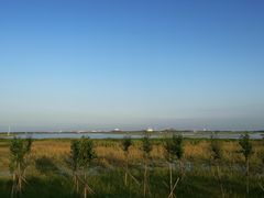 -呼兰河口湿地公园