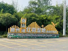 -微山湖红荷湿地景区