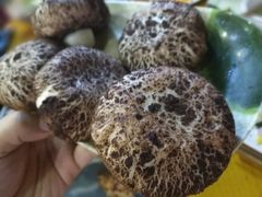 -重庆乌鱼庄·龙滋鲜(青羊大道店)