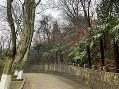 -紫金山天文台