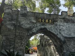 -大槐树寻根祭祖园