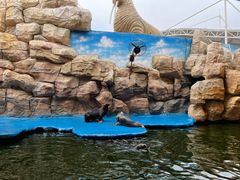 -华夏文旅海洋公园