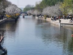 -元大都城垣遗址公园
