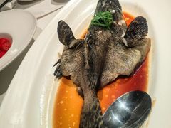 -悦海堂(金融街购物中心店)