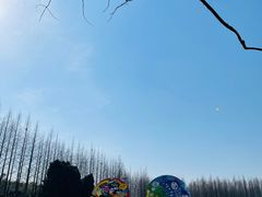 -黄海国家森林公园