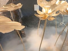 -三江源活鱼现烤(维多利摩尔城店)