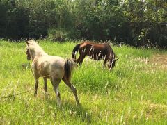 -福建鲤鱼洲酒店